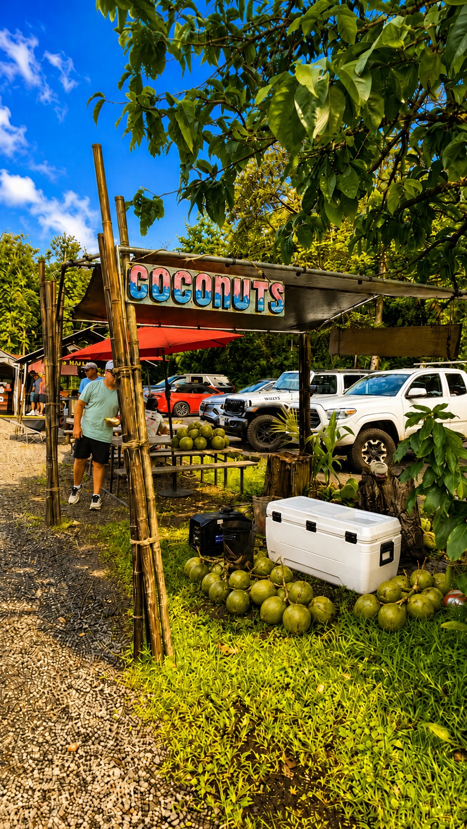 Fresh Coconuts